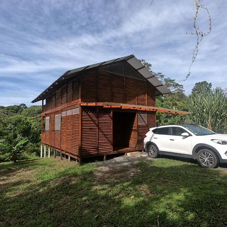 Eco Guest House - Sarapiquí 1 Exterior foto